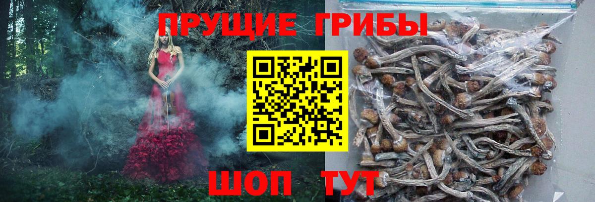 Галлюциногенные грибы GOLDEN TEACHER Ливны